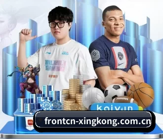 全流程赛事陪伴, 观赛有据可依（xingkong）